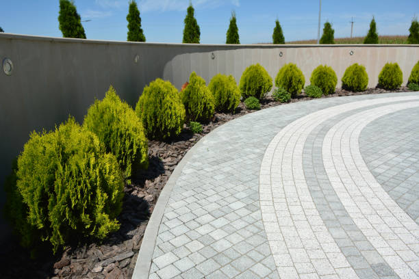 Reasons to Select Us for Your Driveway Paving Requirements in Albuquerque, NM